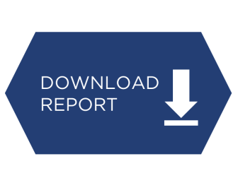 Download report button.png